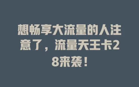 想畅享大流量的人注意了，流量天王卡28来袭！