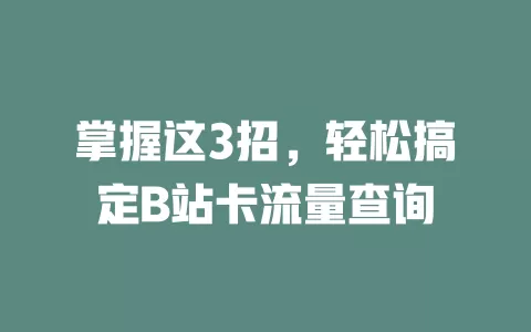 掌握这3招，轻松搞定B站卡流量查询