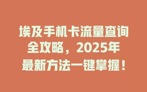 埃及手机卡流量查询全攻略，2025年最新方法一键掌握！
