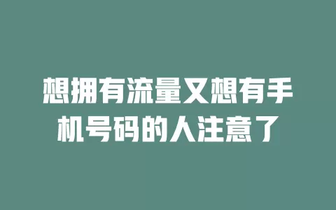 想拥有流量又想有手机号码的人注意了