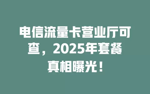 电信流量卡营业厅可查，2025年套餐真相曝光！