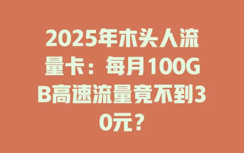 2025年木头人流量卡：每月100GB高速流量竟不到30元？