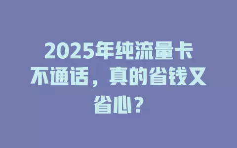 2025年纯流量卡不通话，真的省钱又省心？