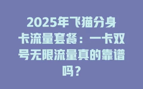2025年飞猫分身卡流量套餐：一卡双号无限流量真的靠谱吗？