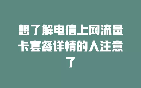 想了解电信上网流量卡套餐详情的人注意了
