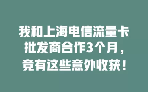 我和上海电信流量卡批发商合作3个月，竟有这些意外收获！
