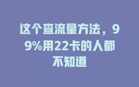这个查流量方法，99%用22卡的人都不知道