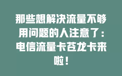 那些想解决流量不够用问题的人注意了：电信流量卡苍龙卡来啦！