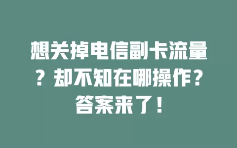 想关掉电信副卡流量？却不知在哪操作？答案来了！