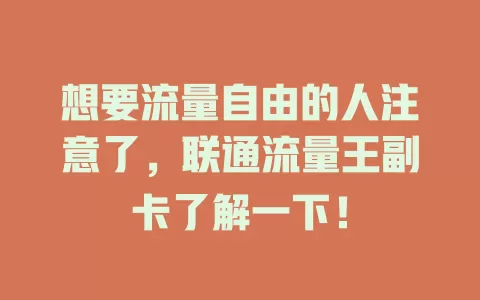 想要流量自由的人注意了，联通流量王副卡了解一下！