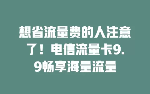 想省流量费的人注意了！电信流量卡9.9畅享海量流量