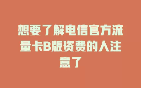 想要了解电信官方流量卡B版资费的人注意了