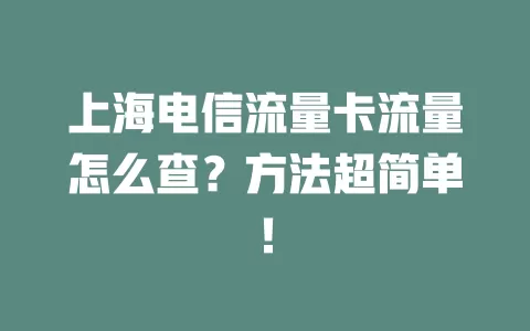 上海电信流量卡流量怎么查？方法超简单！
