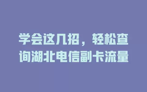 学会这几招，轻松查询湖北电信副卡流量