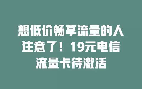 想低价畅享流量的人注意了！19元电信流量卡待激活