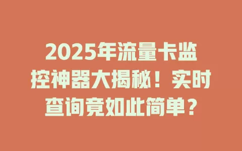 2025年流量卡监控神器大揭秘！实时查询竟如此简单？