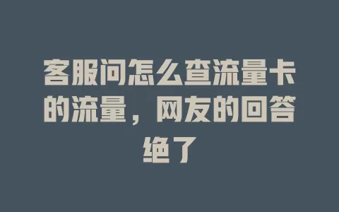 客服问怎么查流量卡的流量，网友的回答绝了