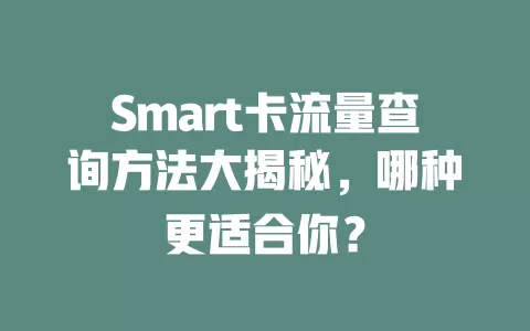 Smart卡流量查询方法大揭秘，哪种更适合你？