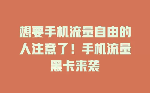 想要手机流量自由的人注意了！手机流量黑卡来袭