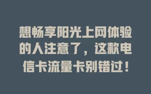 想畅享阳光上网体验的人注意了，这款电信卡流量卡别错过！