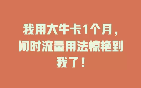 我用大牛卡1个月，闲时流量用法惊艳到我了！