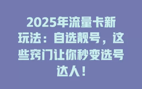 2025年流量卡新玩法：自选靓号，这些窍门让你秒变选号达人！