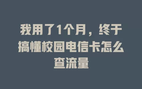 我用了1个月，终于搞懂校园电信卡怎么查流量