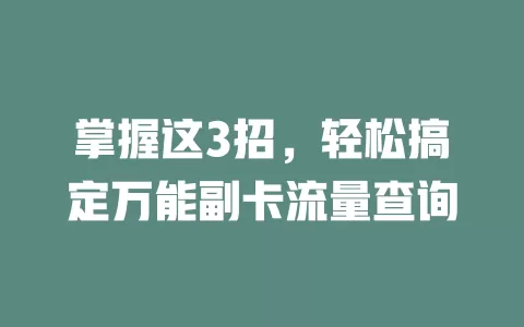 掌握这3招，轻松搞定万能副卡流量查询