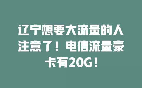 辽宁想要大流量的人注意了！电信流量豪卡有20G！