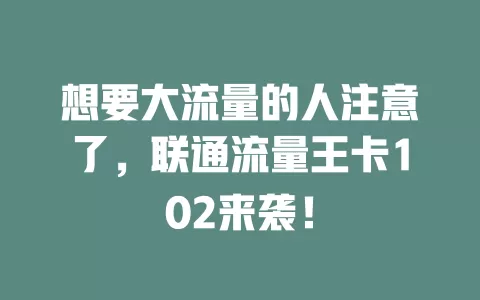 想要大流量的人注意了，联通流量王卡102来袭！