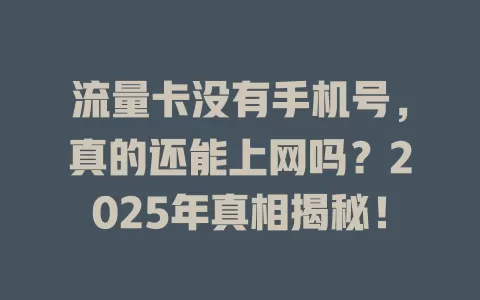 流量卡没有手机号，真的还能上网吗？2025年真相揭秘！