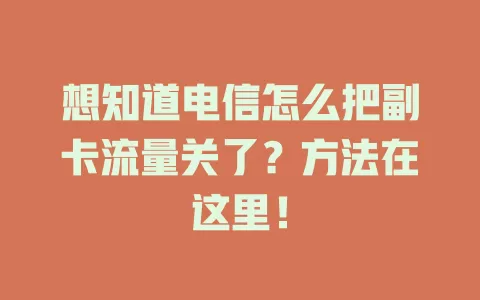 想知道电信怎么把副卡流量关了？方法在这里！