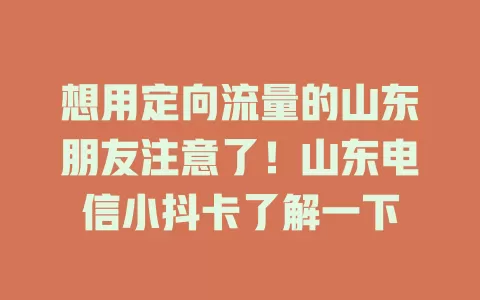 想用定向流量的山东朋友注意了！山东电信小抖卡了解一下
