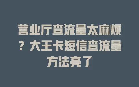营业厅查流量太麻烦？大王卡短信查流量方法亮了