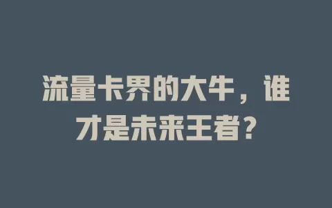 流量卡界的大牛，谁才是未来王者？