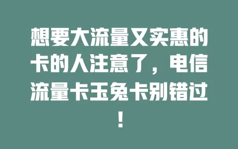 想要大流量又实惠的卡的人注意了，电信流量卡玉兔卡别错过！
