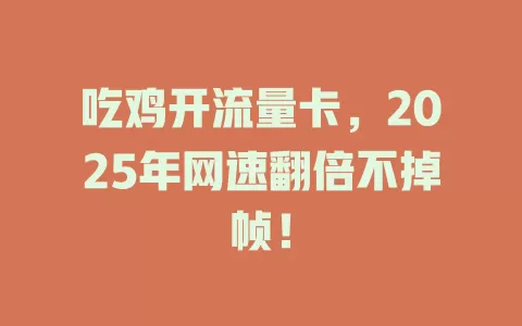 吃鸡开流量卡，2025年网速翻倍不掉帧！