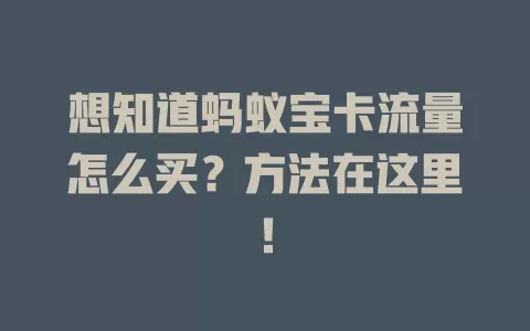 想知道蚂蚁宝卡流量怎么买？方法在这里！