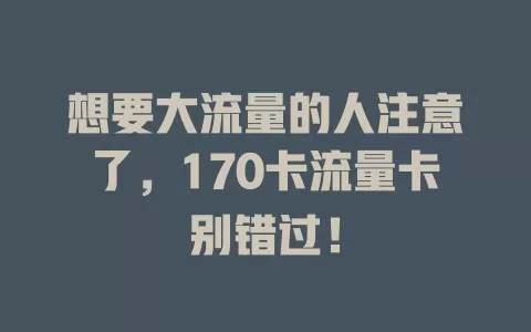 想要大流量的人注意了，170卡流量卡别错过！