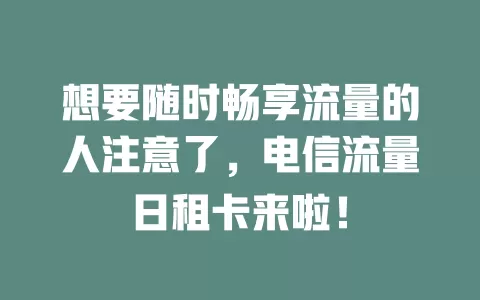 想要随时畅享流量的人注意了，电信流量日租卡来啦！