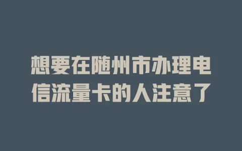 想要在随州市办理电信流量卡的人注意了