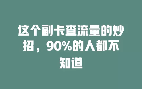 这个副卡查流量的妙招，90%的人都不知道