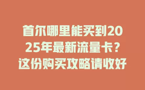首尔哪里能买到2025年最新流量卡？这份购买攻略请收好