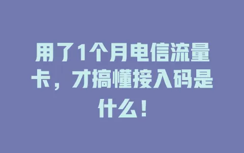 用了1个月电信流量卡，才搞懂接入码是什么！