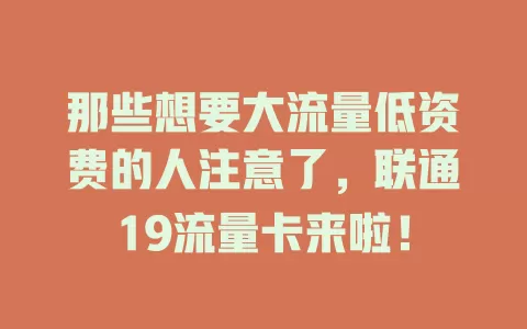 那些想要大流量低资费的人注意了，联通19流量卡来啦！
