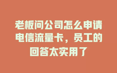 老板问公司怎么申请电信流量卡，员工的回答太实用了