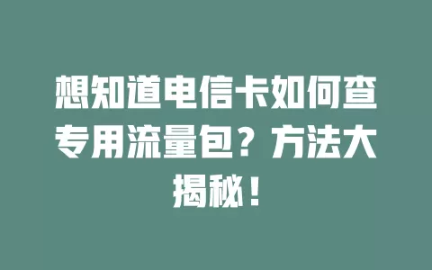 想知道电信卡如何查专用流量包？方法大揭秘！