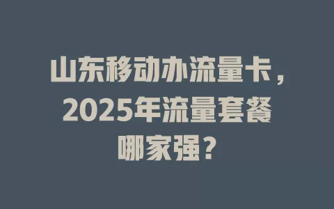 山东移动办流量卡，2025年流量套餐哪家强？