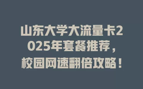山东大学大流量卡2025年套餐推荐，校园网速翻倍攻略！