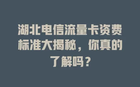 湖北电信流量卡资费标准大揭秘，你真的了解吗？